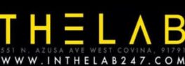 the lab dj vinom the lab logo