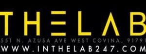 the lab dj vinom the lab logo